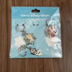 アナ雪　キーホルダー　ディズニーリゾート