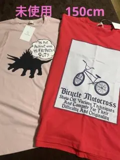 branshes ブランシェス　Tシャツ　2枚セット 150 【新品　未使用】