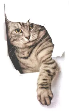 猫雑貨　猫グッズ　トリックアート　ウォールステッカー　カーステッカー　縦型