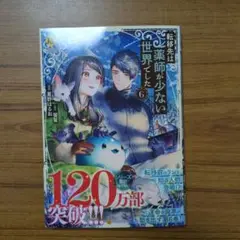 転移先は薬師が少ない世界でした(6)