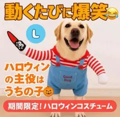 Item thumbnail for item 34c28933-cc73-44f5-8d28-467e04dc3acb