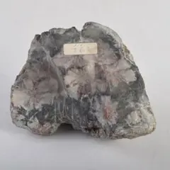 Item thumbnail for item d0482675-411c-4c46-8fa9-1b4115952bd7