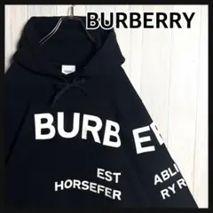 希少【Burberry】ロゴ刺繍パーカー BURBERRY - 【希少L】バーバリー センター刺繍ロゴ パーカー