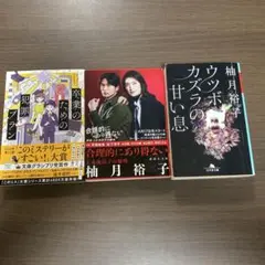 卒業のための犯罪プロン⭐️オススメ3冊セット‼️