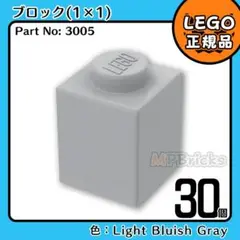 LEGO ライトグレー 新灰 01×01 ブロック 30個／新品,正規品E2