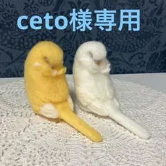 リクエストNO.2562☆セキセイインコ☆おやすみver.2セット
