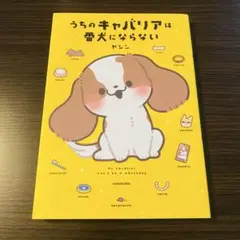 美品 うちのキャバリアは番犬にならない