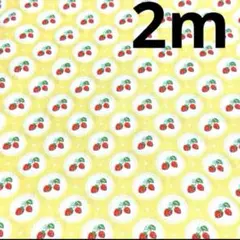 【特価】最終出品ラスト2枚★strawberryレース CBポプリン★