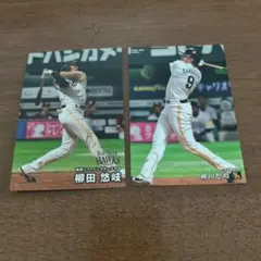 (最短当日発送)柳田悠岐 トレーディングカード 2枚セット別売り可能