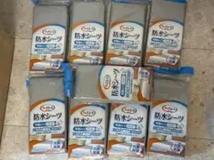 Item thumbnail for item 14844703-0048-40a3-a84f-ef2d57b777fd