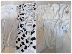 Item thumbnail for item d84e3b97-0fe4-43b4-a081-fc98bae864f2