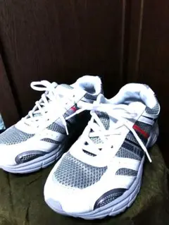 Item thumbnail for item a1df24f5-6232-48ac-8684-f147df3e91d4