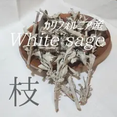 【数量限定】カリフォルニア産ホワイトセージ/枝 90g前後