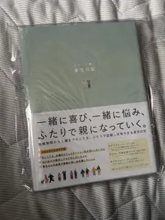 Item thumbnail for item 25a04110-7e7e-4346-a5cc-85eefc24d56e