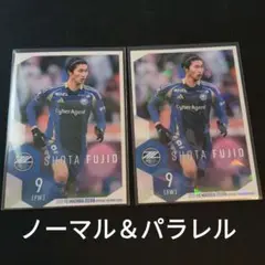 藤尾翔太