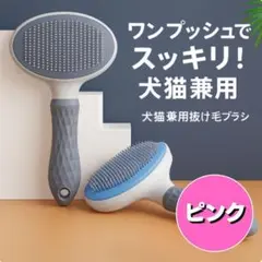 Item thumbnail for item 19e4736d-d57f-44e1-a7a0-8e7d6444e493