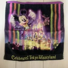 ディズニー　35周年限定タオル