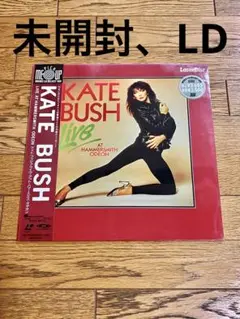 人気のクリスマスアイテムがいっぱい！ 酒井法子 レーザーディスク Noriko おまけ野音 / '88 Live ミュージック