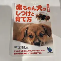 赤ちゃん犬のしつけと育て方