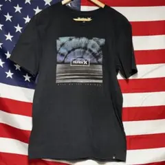 Hurley Tシャツ メンズ M horizon 地平線