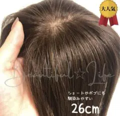 Item thumbnail for item d50e11e2-d492-407a-b830-7d6bddc0adb4