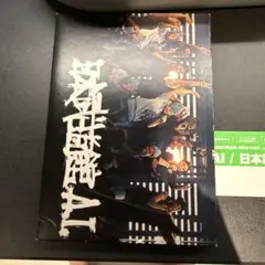 AI/日本武道館 A.I.〈初回限定盤・2枚組〉