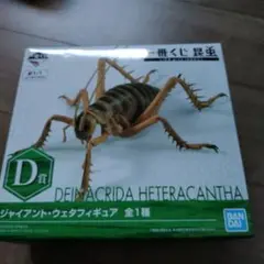 【未開封】一番くじ D賞 ジャイアントウェタ フィギュア【送料込】 Amazon | 一番くじ 昆虫くじ D賞 ジャイアントウェタ フィギュア