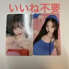 ウォニョン トレカ AMUSE