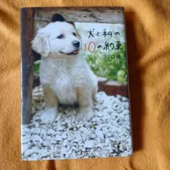 犬と私の10の約束 川口晴