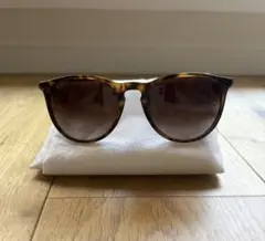 RayBan レイバン ERIKA イタリア製 ケース付き