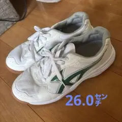体育館シューズ　26.0㌢　グリーン　MOONSTAR