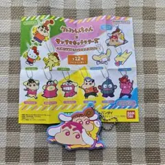 クレヨンしんちゃん　サンリオ　しんちゃん　ひまわり　シナモロール