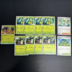 活力の森　メガニウム　ベイリーフ　チコリータ　　ミツルの思いやり