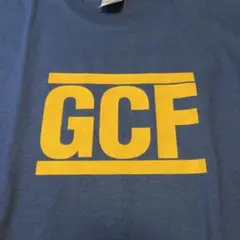 Good Clean Fun Tシャツ　Mサイズ　ネイビー