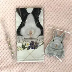 フェリシモ　うさぎ　しらとあきこ　3点セット