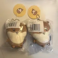 カワウソくじ D賞 2点セット