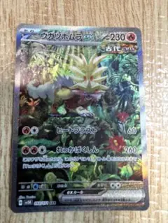 ウガツホムラex SAR