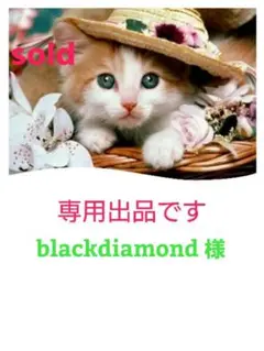 Item thumbnail for item e3011edb-afca-4768-8068-57dc5c6f9acc