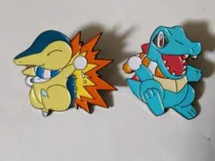 ポケモンピンバッジ ヒノアラシ＆ワニノコ ジオラマバッジセット～冬Ver.～