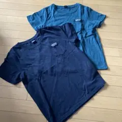 AVIREX Tシャツ(F)2枚セット