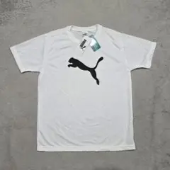 【未使用】PUMA　プーマ　プラクティス　Tシャツ　M　ホワイト　ロゴ