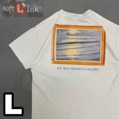 7WD389 softlink アートTシャツ 作者 A.E. bean