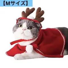 Item thumbnail for item 47978867-7531-4d36-be95-4cc24690392f