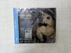 カミナリグモ + 真鍋吉明「triograph」CD