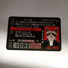 なめ猫 免許証 又吉 レア コロコロコミック