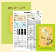 梅花心易精義 梅花心易精義 | 鎗田宗准 |本 | 通販 | Amazon