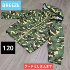Item thumbnail for item 9038f708-f875-45eb-831d-36350be2d513
