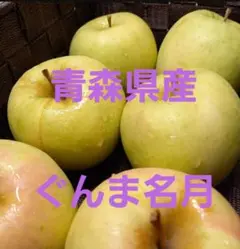 ★期間限定★青森県産 ぐんま名月 りんご 6~8玉
