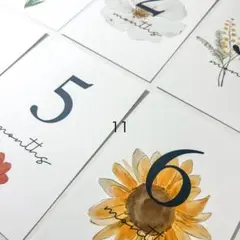 11.マンスリーカード 月齢カード（お花 flower シンプル)