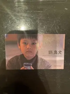 SEVENTEEN ジュン　野良犬　野。良犬　映画　特製カード 2週目特典